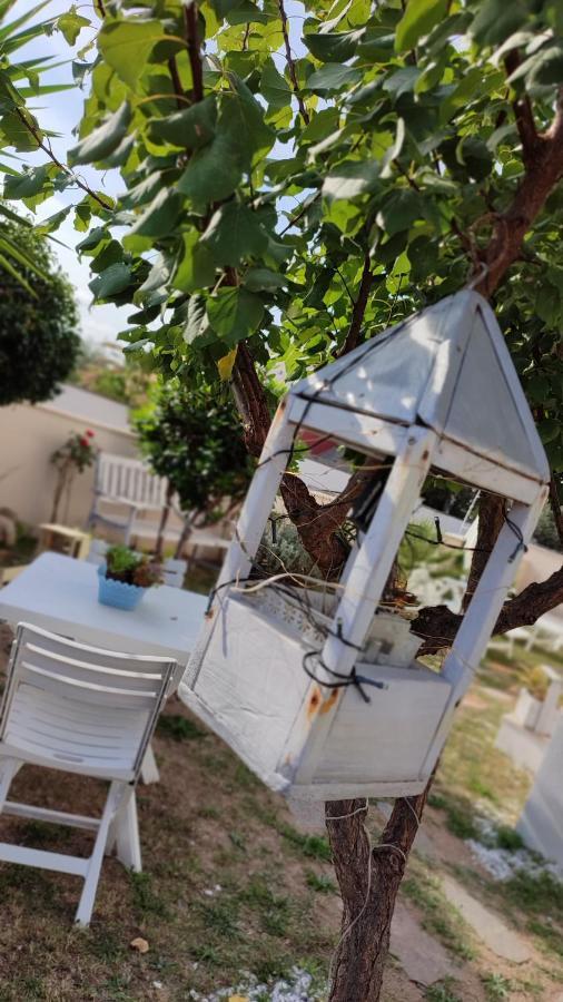 Casa Vacanze أولبيا المظهر الخارجي الصورة