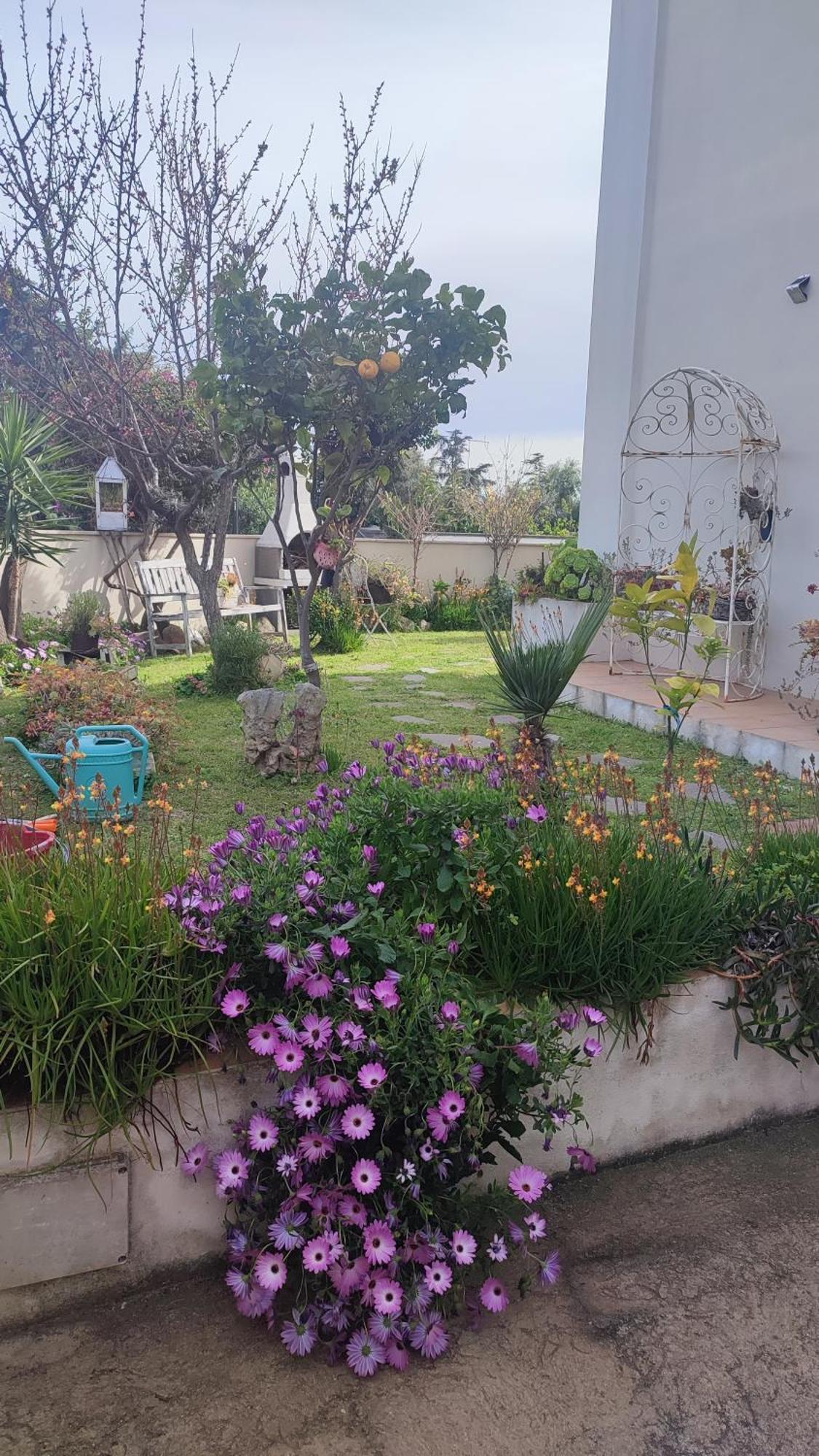 Casa Vacanze أولبيا المظهر الخارجي الصورة